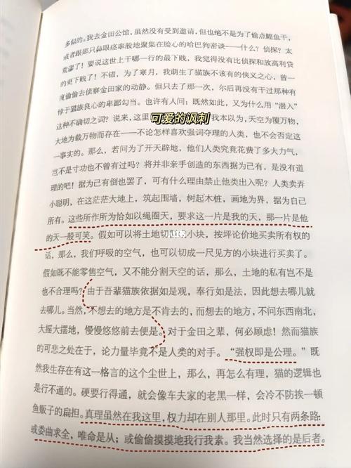我是猫为什么读不下去解决方案来啦