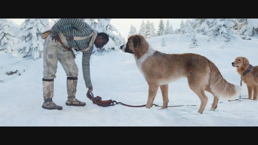 野性的呼唤新片段曝光巴克的雪橇犬生涯