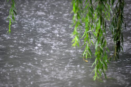 赏雨景,就来济南的的五龙潭吧,这里潇洒似江南