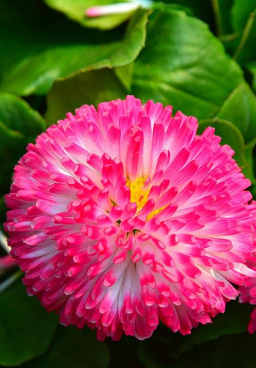 江苏省南通市海安县长江东路靠近锦江之星酒店(火车站店)天气预报