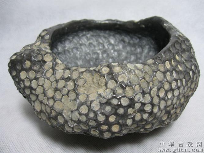 蜂窝状珊瑚化石,编号472