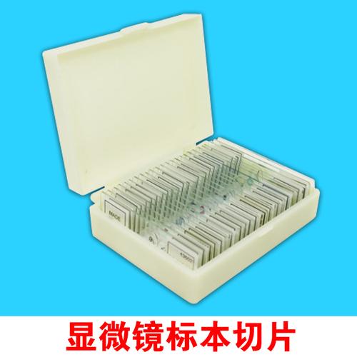 显微镜生物切片标本10 25 50 100 200片盒装永久封片