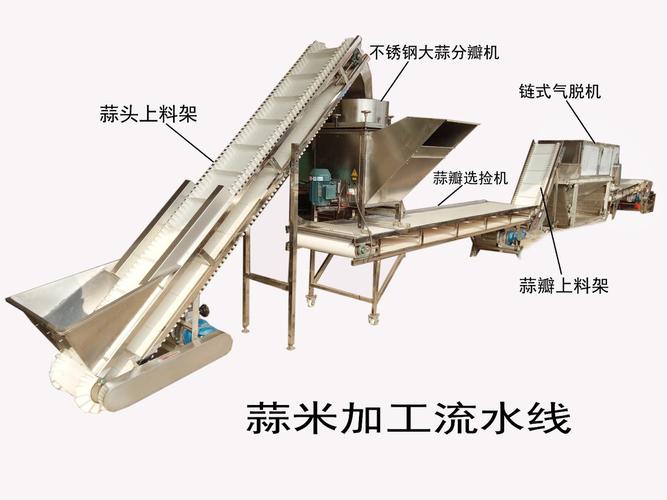 qh-庆华牌 蒜米加工流水线设备 大蒜 链式气脱机 蒜米