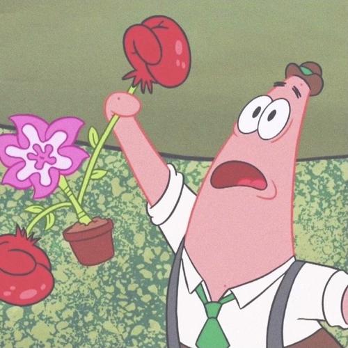 你若爱,生活哪里都可爱|海绵宝宝头像