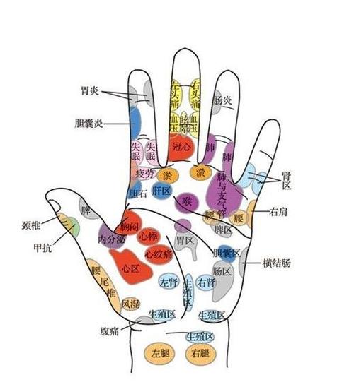 巧用筷子揉揉手,通便排毒,降血糖!好处