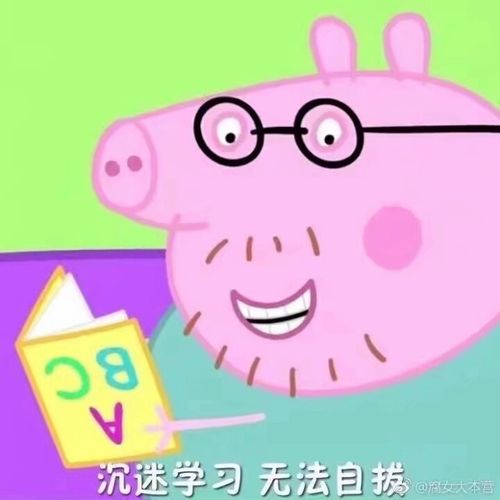 小猪佩奇表情包(考试加油!)!