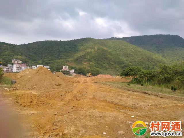 高州长坡开始做大田了,你来睇了吗