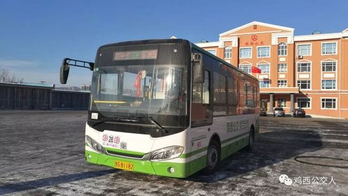 鸡西市28路公交车明日起恢复运营!