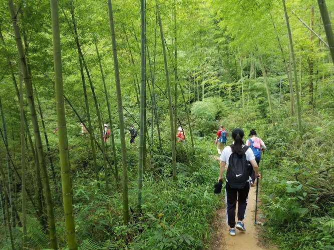 其它 从化溪头村竹海徒步穿越 写美篇【活动主题】从化溪头村徒步