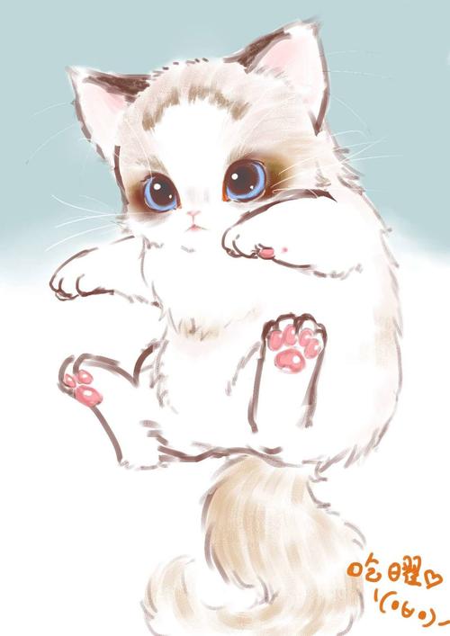 手绘 猫咪 可爱 萌 动物-堆糖,美好生活研究所