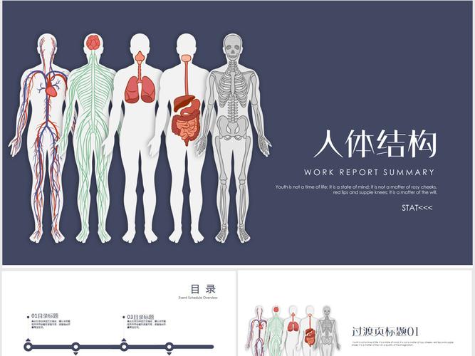 蓝色人体器官医学研究ppt动态模板