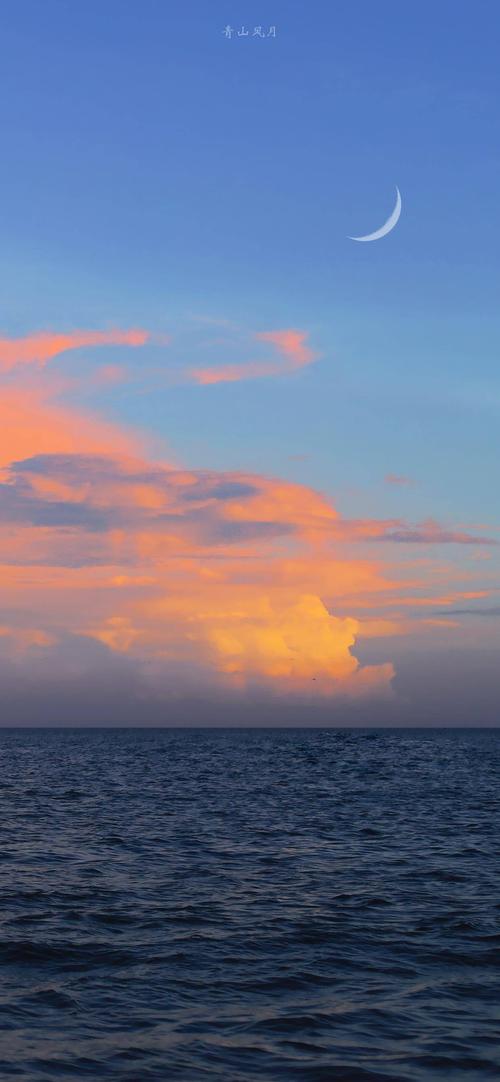 好看的壁纸要分享