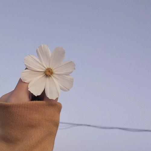 让你不再缺头像壁纸背景图