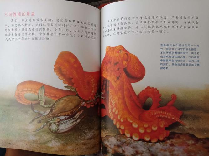 从巨齿鲨到章鱼再到北海巨妖克拉肯——让我给做鱿鱼的目的是拿到它的