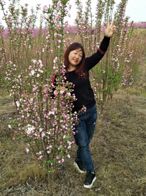 安州区乐兴镇百花园赏花.