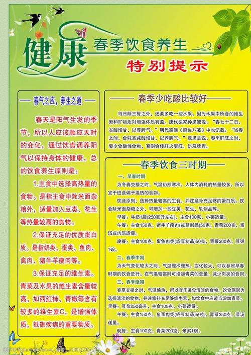 春季养生饮食海报图片