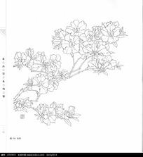 相关"手绘黑白花卉"354 张图片