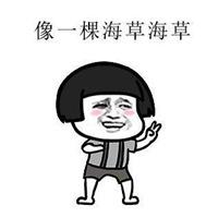 最近抖音很火的表情包头像【点击鼠标右键下载】