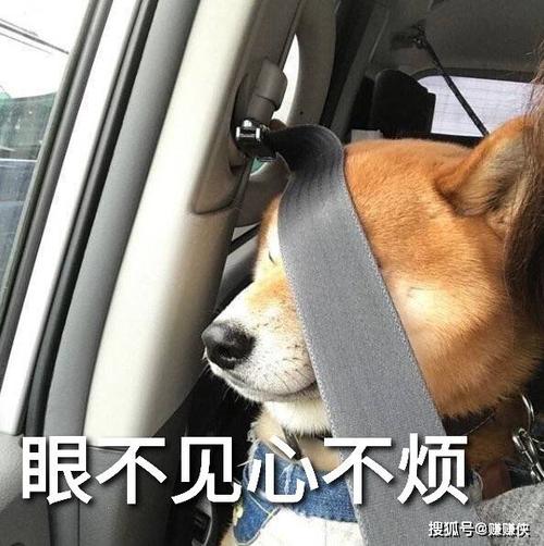 眼不见心不烦表情包