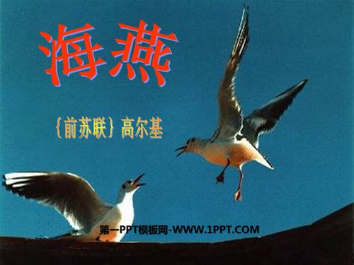 《海燕》ppt课件12