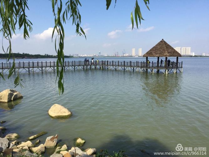 过了瑶湖大桥,便是瑶湖郊野森林公园,园区内面积较大,尚未商业化,无需