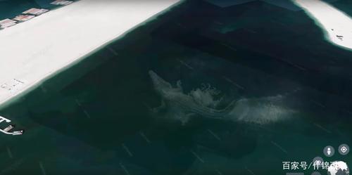 谷歌地球上的神秘未知生物你从未见过的超巨大生物合集