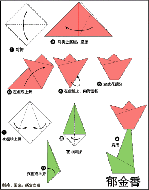 儿童折纸,diy简单折纸方法教程之郁金香的折纸方法
