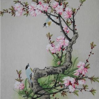 《鹊踏枝-朴树》作者:凭栏听风