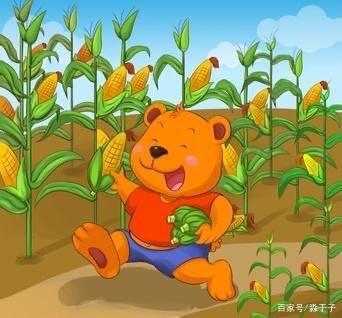 黑瞎子掰苞米,掰一穗丢一穗