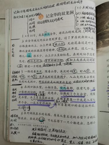 《记金华的双龙洞》第二课时课堂笔记