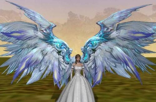 十二星座专属魔幻翅膀摩羯座的暗黑魔法双鱼座的孔雀之翼