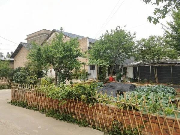 曲靖陆良:农家小院"美颜"模式醉人心