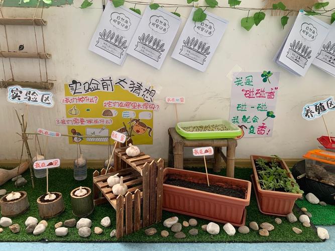 幼儿园里的大自然——新寨幼儿园自然角评比活动