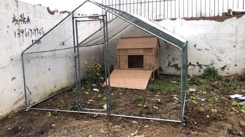 大型鸡笼养鸡棚户外钢管搭建养殖大棚家禽养殖棚家用宠物笼子鸡舍 顶
