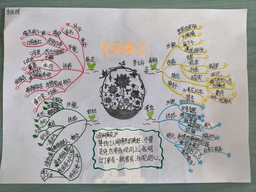《青铜葵花》思维导图优秀作品展示