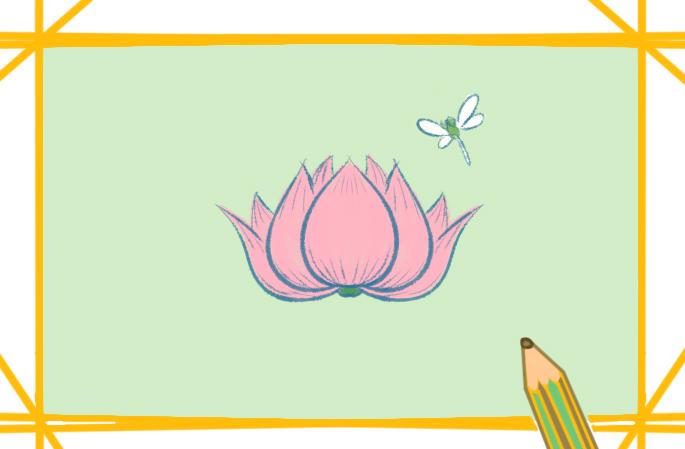 简笔画 植物简笔画      南朝《西洲曲》中写道:"采莲南塘秋,莲花过