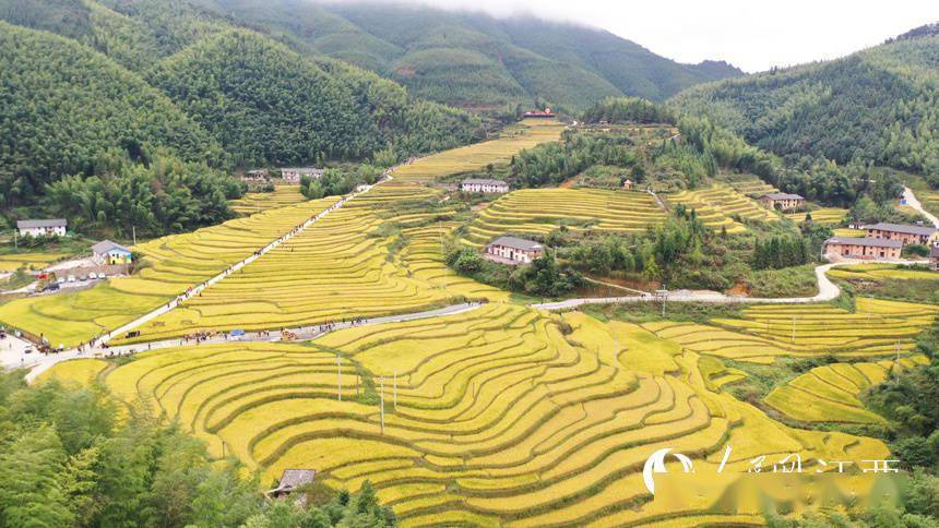 江西崇义上堡梯田笑迎八方游客