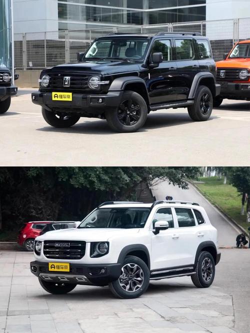 哈弗大狗还是坦克300这样选没错|哈弗汽车|越野车