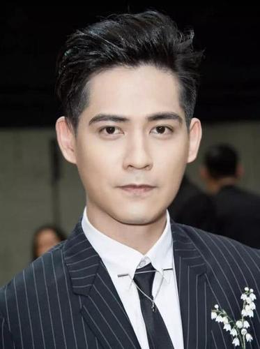 周渝民,流星花园,花泽类