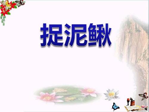 捉泥鳅 ppt精品课件