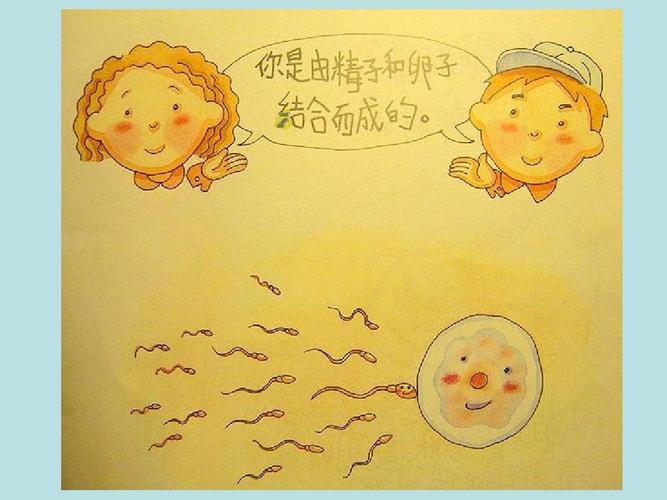 《我从哪里来》课件定稿ppt