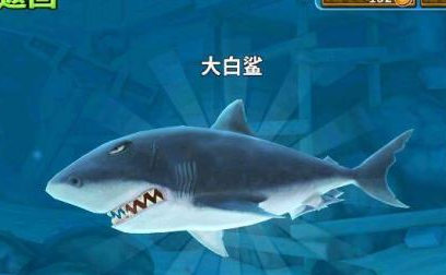 大白鲸:最新普通鲨鱼,十级时体型达到45m,是灭世魔龙近三倍电鲨:和