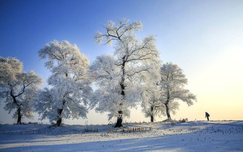 雾凇岛唯美雪景图片桌面壁纸