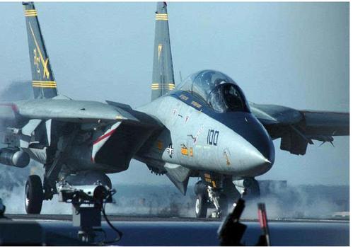 (f14雄猫战斗机)