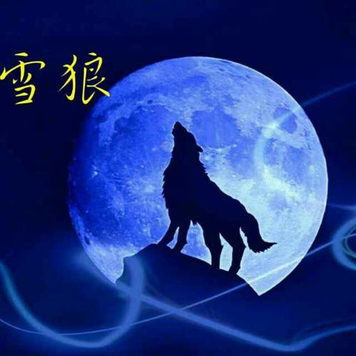 雪狼  