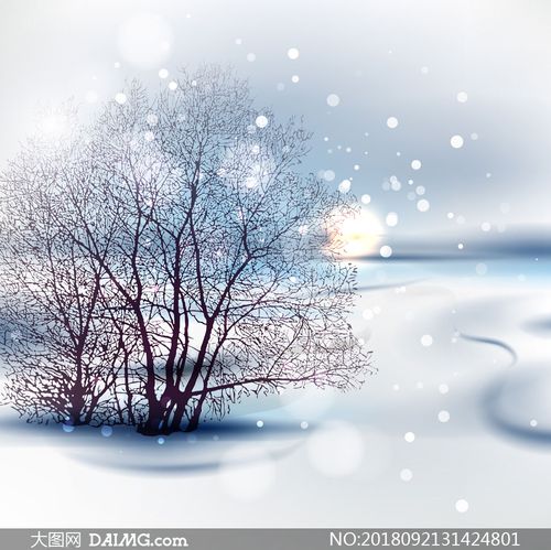 雪地里的树木梦幻效果创意高清图片