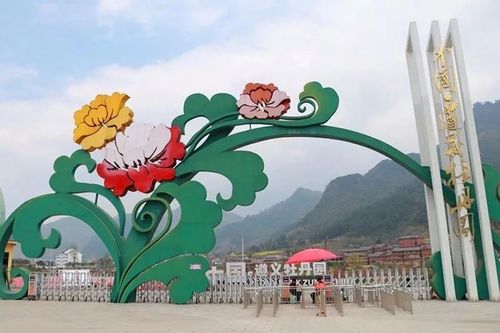 踏青赏花,春游遵义,100张遵义牡丹园门票免费送啦!
