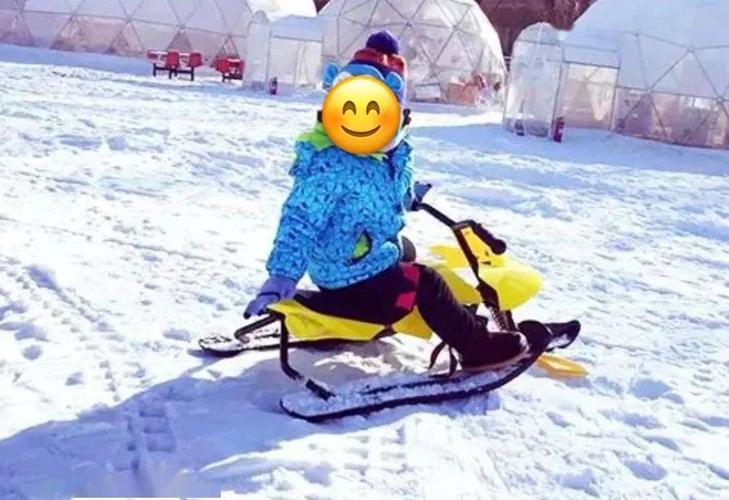 再叫上好友来一场竞技 趣味加倍～ 儿童滑雪车 集娱乐,健身于一体 不