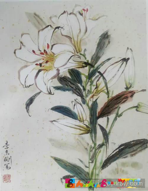 国画百合花画法
