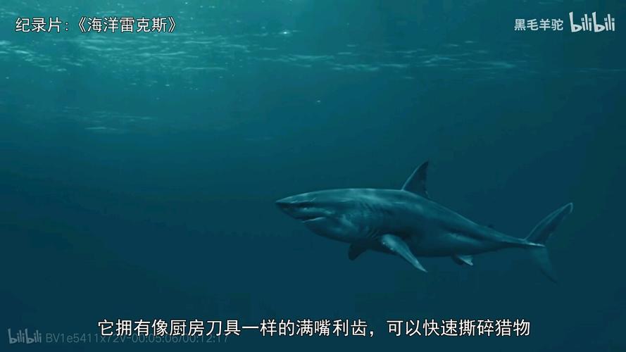 纪录片海洋雷克斯复原的白垩尖吻鲨